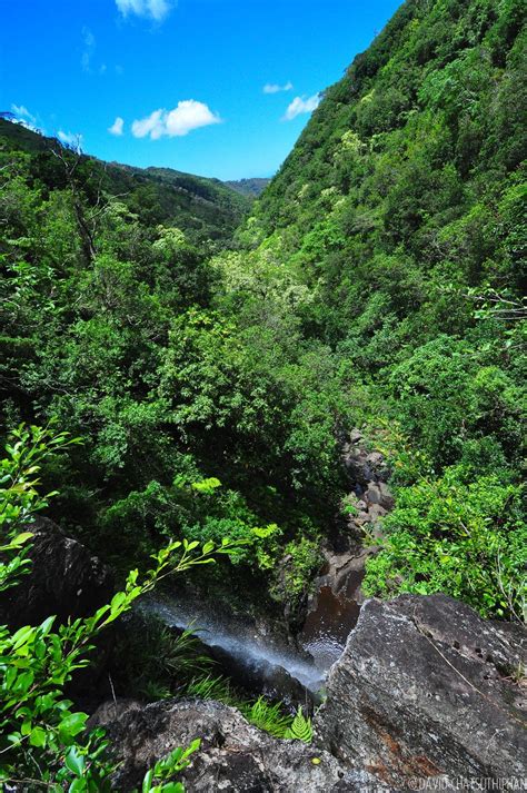 Kaau Crater Hike Oahu Hikes Oahu Hawaii Oahu