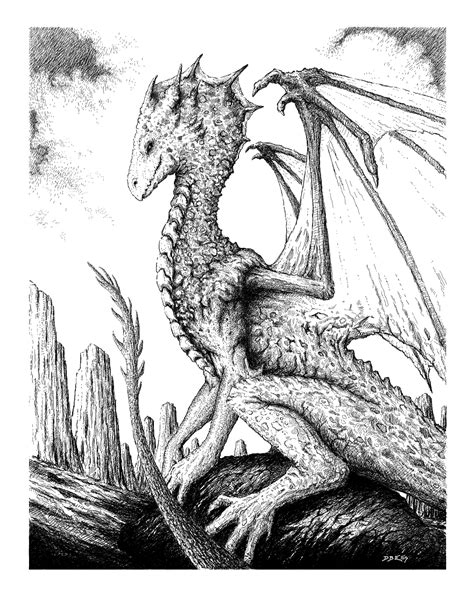 Dragon Drawing By David Ellis Rimaginarydragons