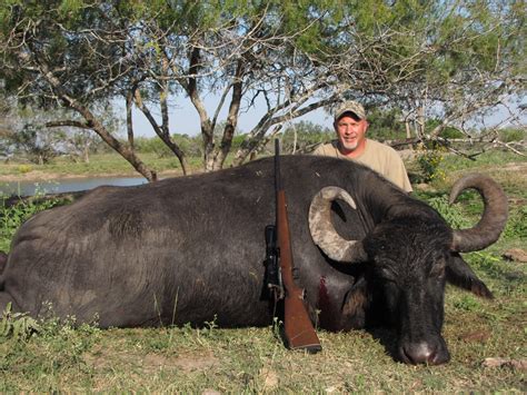 Water Buffalo Hunting Lonesome Bull Ranch