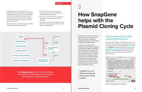 The Plasmid Cloning Cycle