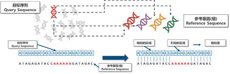 宏基因组测序病原微生物检测生物信息学分析规范化管理专家共识解读临床实验室期刊文章检验视界网