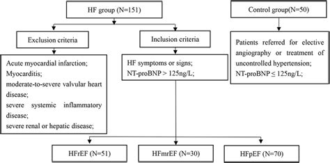 Study Flowchart Hf Heart Failure Hfref Hf With Reduced Ejection