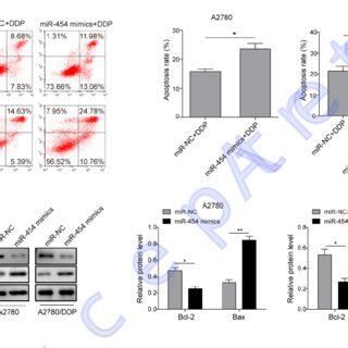 Overexpression Of MiR 454 Modulated Cisplatin Sensitivity Of Ovarian