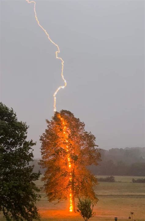 One In A Million Moment As Lightning Strikes A Tree Captured In