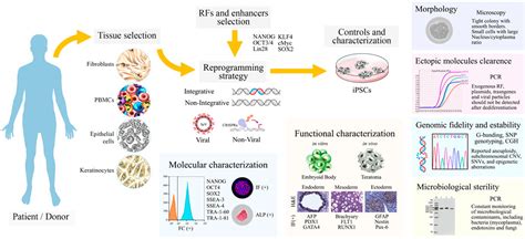 Quantification Of Human Neuromuscular Function Through Off