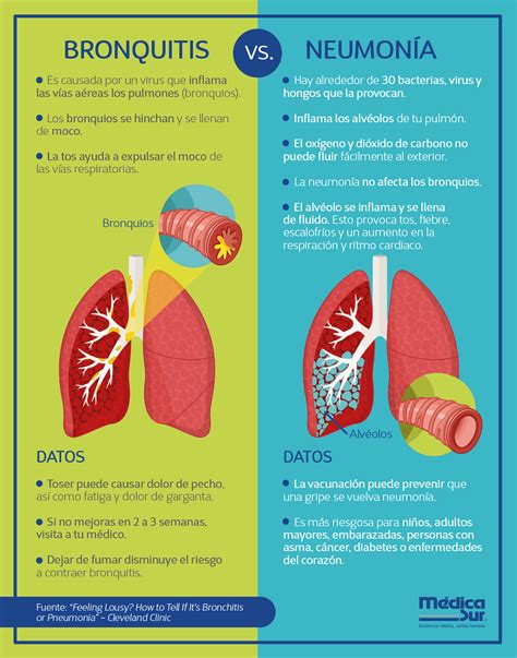 Bronquiolite E Bronquite Diferença REVOEDUCA