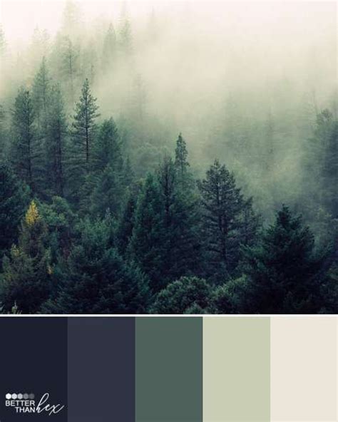 10 Extraordinary Bedroom Color Schemes Forest Photos Artofit