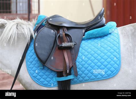 On The Back Of The Horse A Brown Leather Saddle And Saddle Cloth Are