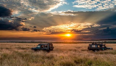 horizon, Sky, Safari, Africa, Sunset Wallpapers HD / Desktop and Mobile Backgrounds