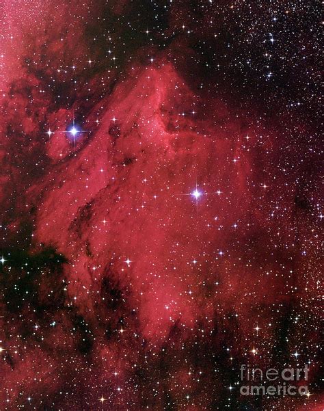 Pelican Nebula Photograph By Robert Gendler Science Photo Library