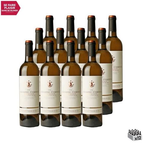 Villa Chambre D Amour Blanc 2021 Lot De 12x75cl Lionel Osmin Cie