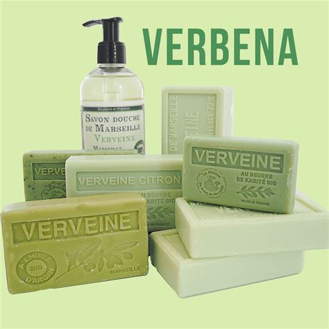 Ingredients spotlight - VERBENA