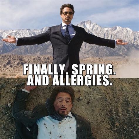 Allergies Quote Allergies Funny Spring Meme Spring Quotes Allergy