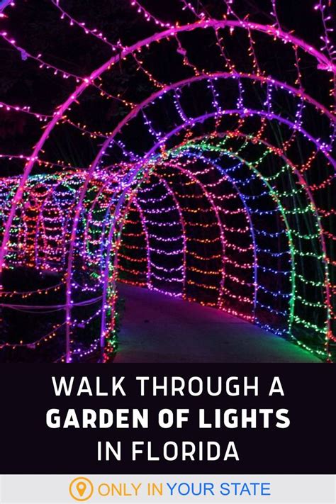 Stroll Through 2 Million Lights at Selby Gardens Lights In Bloom Show ...