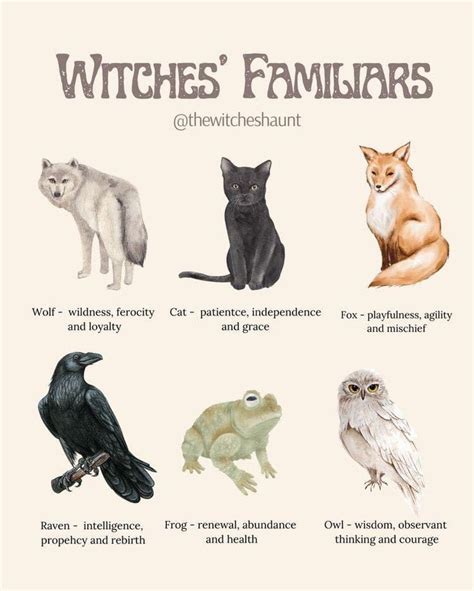 Pin By Meredith Seidl On Witchery Witches Familiar Witch Witch Books