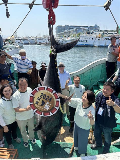 屏東黑鮪魚總價、單價破紀錄！ 第一鮪拍得310萬300元 高屏離島 地方 聯合新聞網