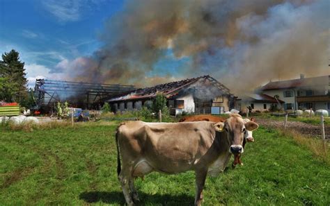 Zwei K Lber Sterben Bei Gro Brand Nachrichten Aus Kempten Allg Uer