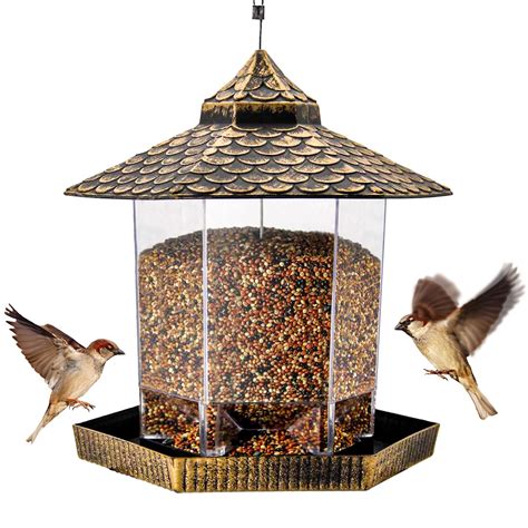 Best Robin Bird Feeder Parts Top Picks For A Successful Bird