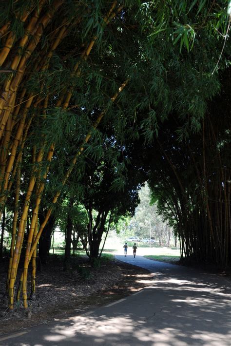 Parques No Df Oferecem Op Es De Lazer Para Os Dias Clima Mais