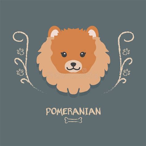 滑稽的pomeranian传染媒介例证 狗的逗人喜爱的动画片画象 向量例证 插画 包括有 设计 敌意 76214795