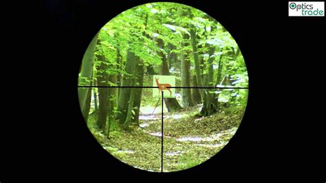 Swarovski Z6i 1-6x24 L Reticle 4-I subtensions - YouTube