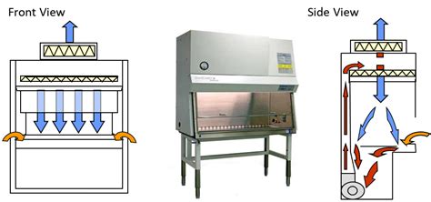 Biosafety Cabinets Environmental Health Safety