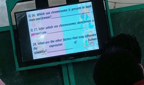 Q Which Sex Chromosome Is Present In Both StudyX