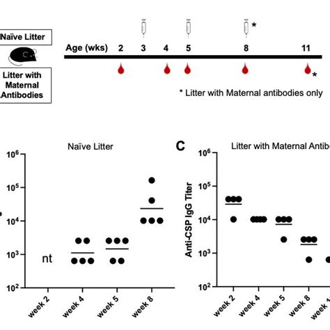 Comparison Of Antibody Responses To Cis43 Vlp Immunization In Mice