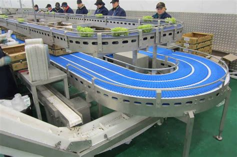 What Are The Different Types Of Conveyor System