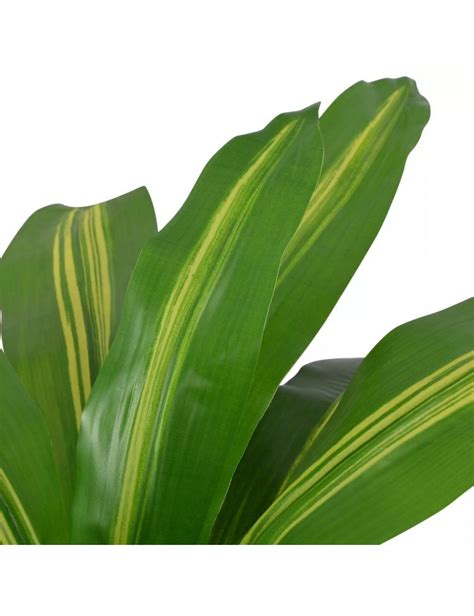 Plante Artificielle Avec Pot Dracaena Cm Vert Jardinao