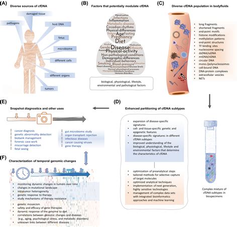 The Rising Tide Of Cell Free Dna Profiling From Snapshot To Temporal