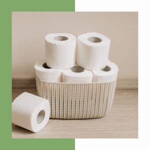 Toilet Paper Alternatives - The Prepping Wife