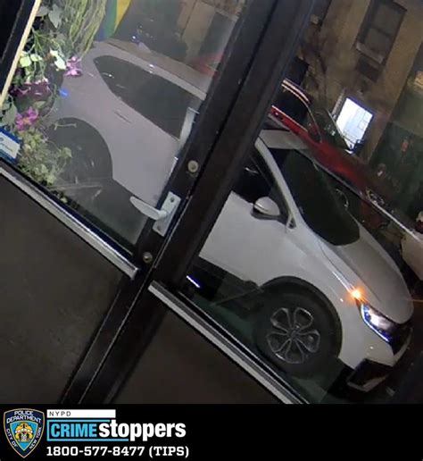 Nyc Lady Angelina Cando Arrested For Setting Pleasure Flag On Hearth