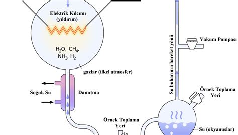 El enigma del origen de la vida: el experimento de Miller-Urey