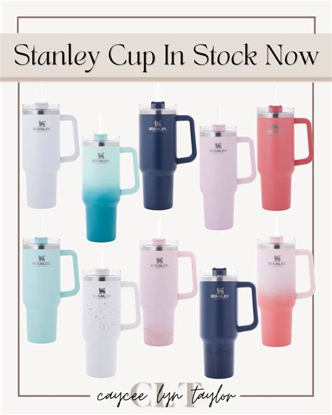 The Stanley Adventure Quencher Is Back In Stock These Are Prefect For The Car At The Pool Or