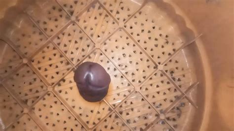 Newest Desi Gay Porn Videos XHamster