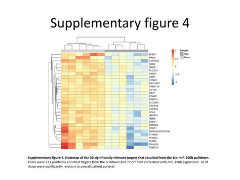 MicroRNA 190b Targets RFWD3 In Estrogen ReceptorPositive Breast Cancer