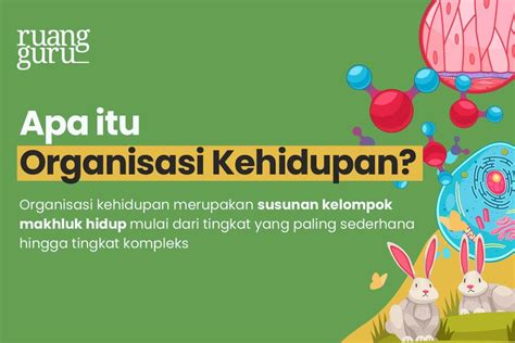 Urutan Tingkat Organisasi Kehidupan Makhluk Hidup