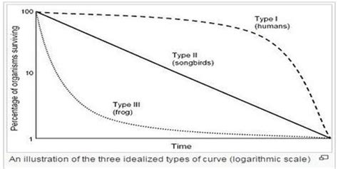 Survivorship Curve - Assignment Point