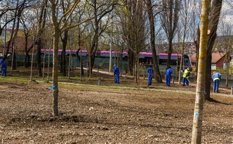 Ziua De Cluj Parcul Arm Tura Se Planteaz Noi Arbori Stadiul