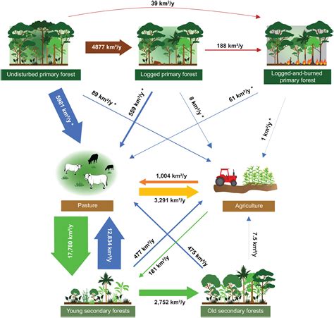 Linking Land Use And Land Cover Transitions To Their Ecological Impact