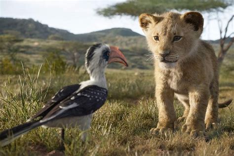 Entertainment News Info The Lion King Live Action Review