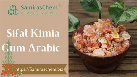 Sifat Kimia Gum Arabic Pt Samiraschem Indonesia