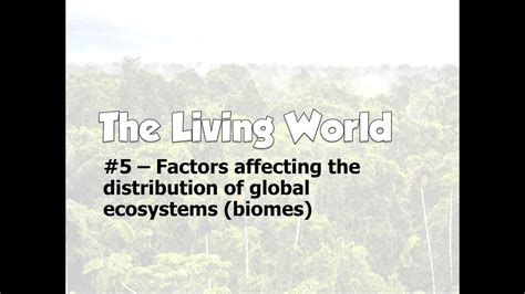 Factors Affecting The Distribution Of Global Ecosystems Biomes YouTube