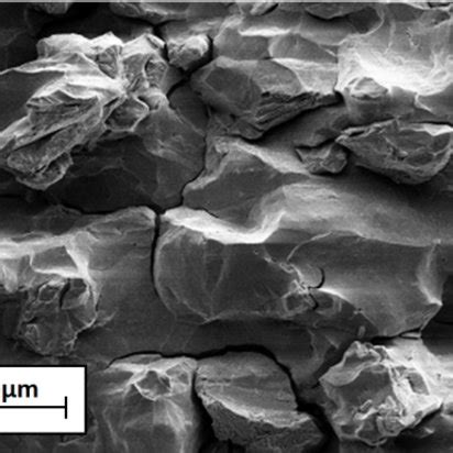 B Sem Picture Of An Intergranular Fracture Of Ofhc Cu After A Uniaxial