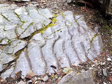 What Creates Ripple Marks In Rocks Naturally North Idaho