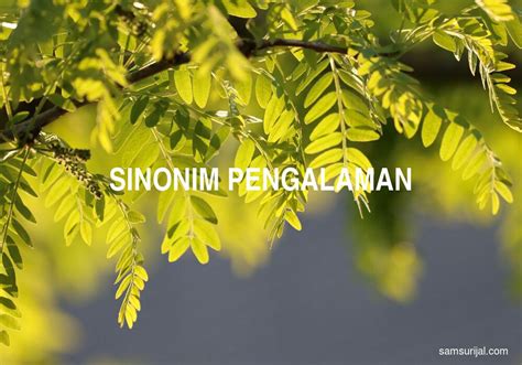 9 Sinonim Pengalaman Tesaurus Bahasa Indonesia