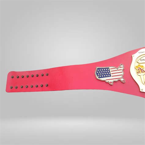 Nwa Continental Usa Heavyweight Wrestling Champion Belt Rental Sports