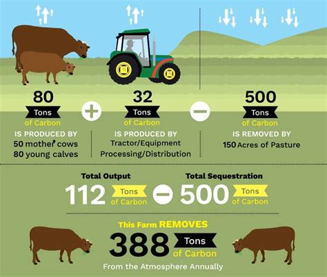 Carbon Sequestration The Impact Of An Organic Dairy Farm Mossgiel