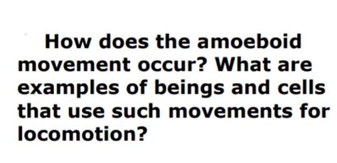 Answered: How does the amoeboid movement occur?… | bartleby